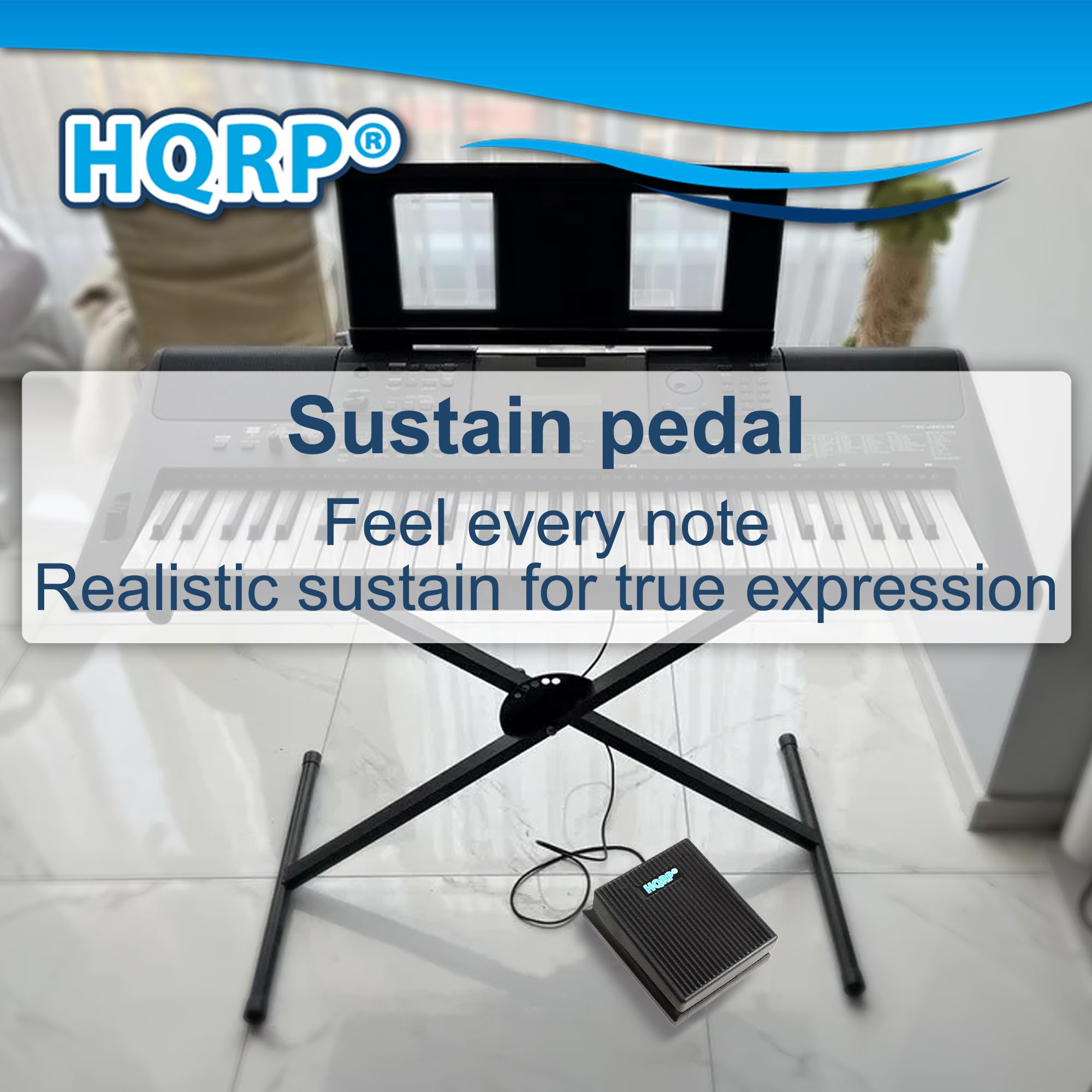 Amazon.com: HQRP Sustain Pedal for Casio LK-50, LK-55, LK-73, LK