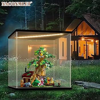 Amazon.com: Naconmlet Clear Acrylic Display Case for Disney Winnie