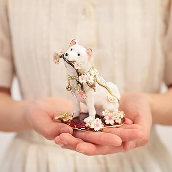 71ghXBOFcfL._AC_UF350,