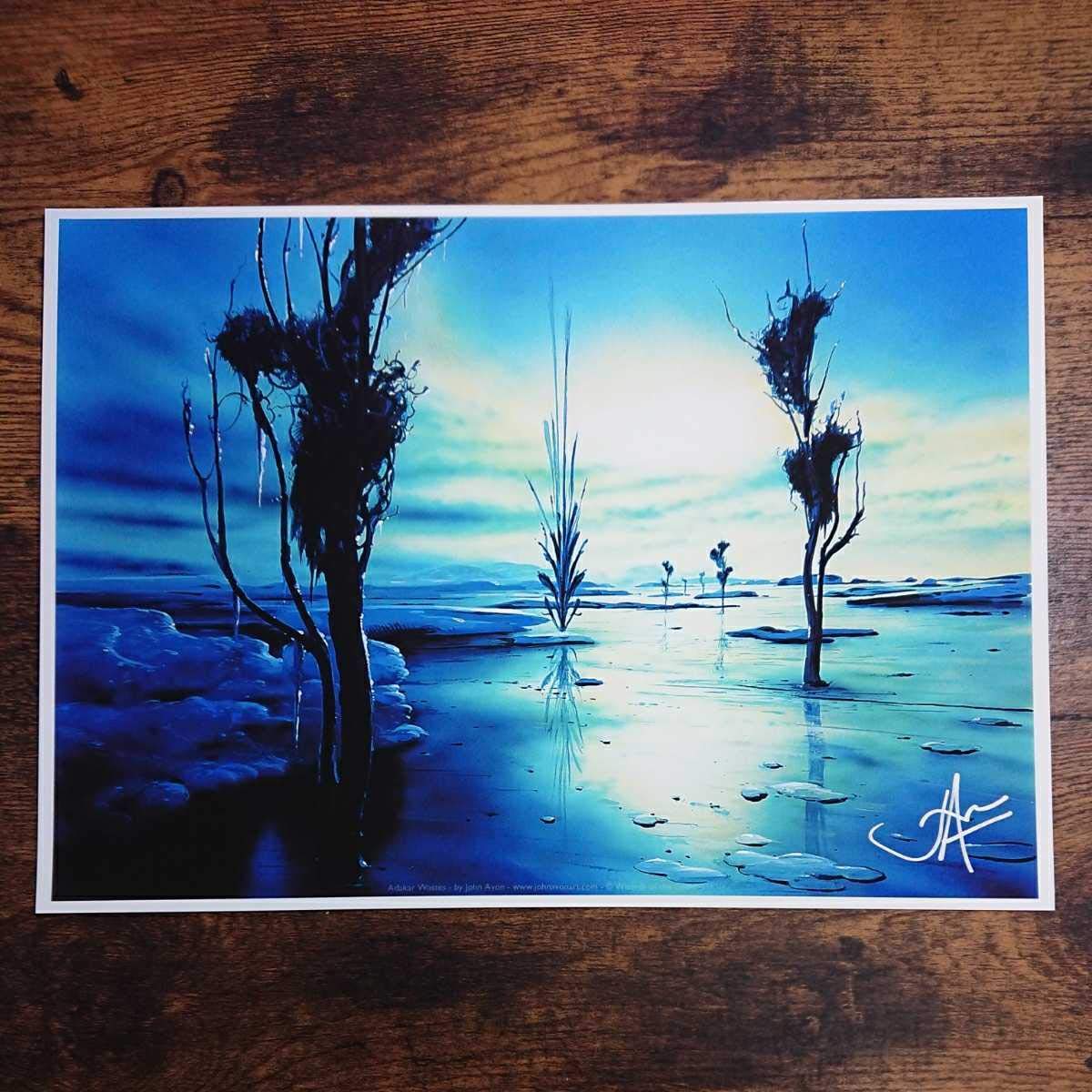 Amazon.co.jp: MTG《アダーカー荒原/Adarkar Wastes》John Avon サイン