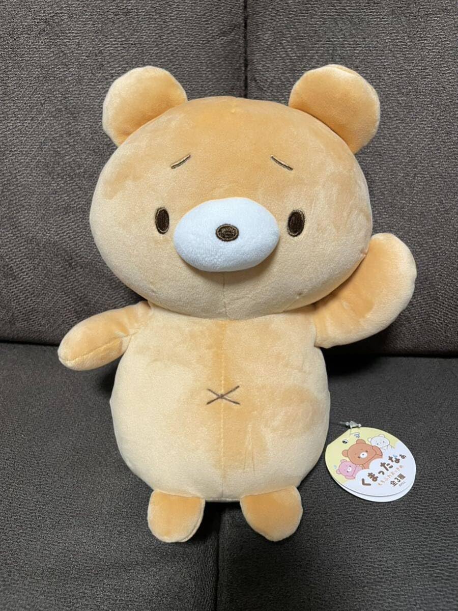 Amazon.co.jp: 絶版 くまったなぁ ブラウン もちふわ おっきめ