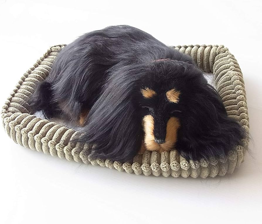 Amazon.co.jp: ニニアンドキノ パーフェクトペット (小サイズ