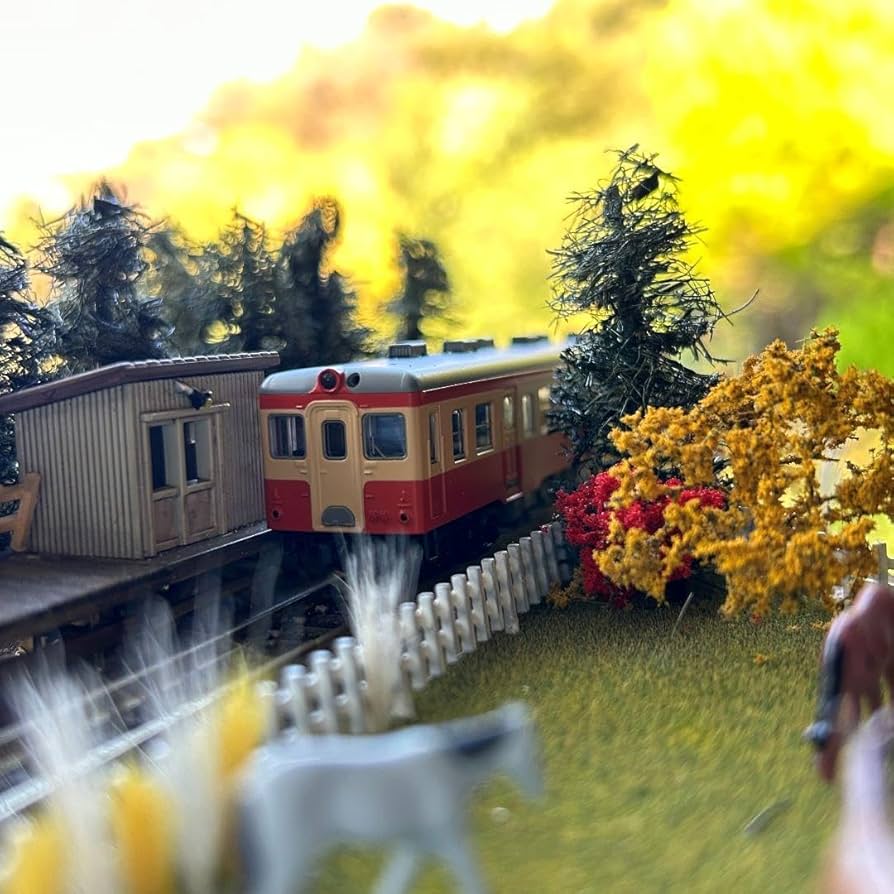 Amazon.co.jp: ローカル線 宗谷本線 秘境駅 糠南 Nゲージ ジオラマ