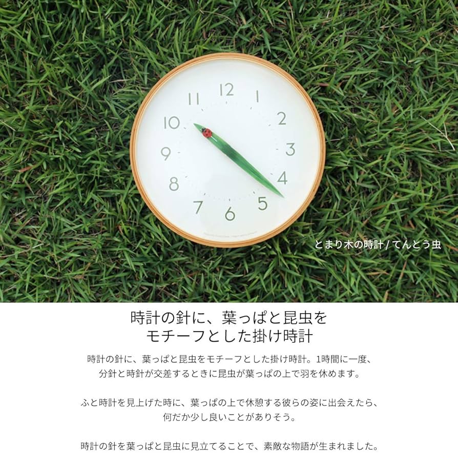 Amazon.co.jp: レムノス(Lemnos) 掛け時計 とまり木の時計 テント