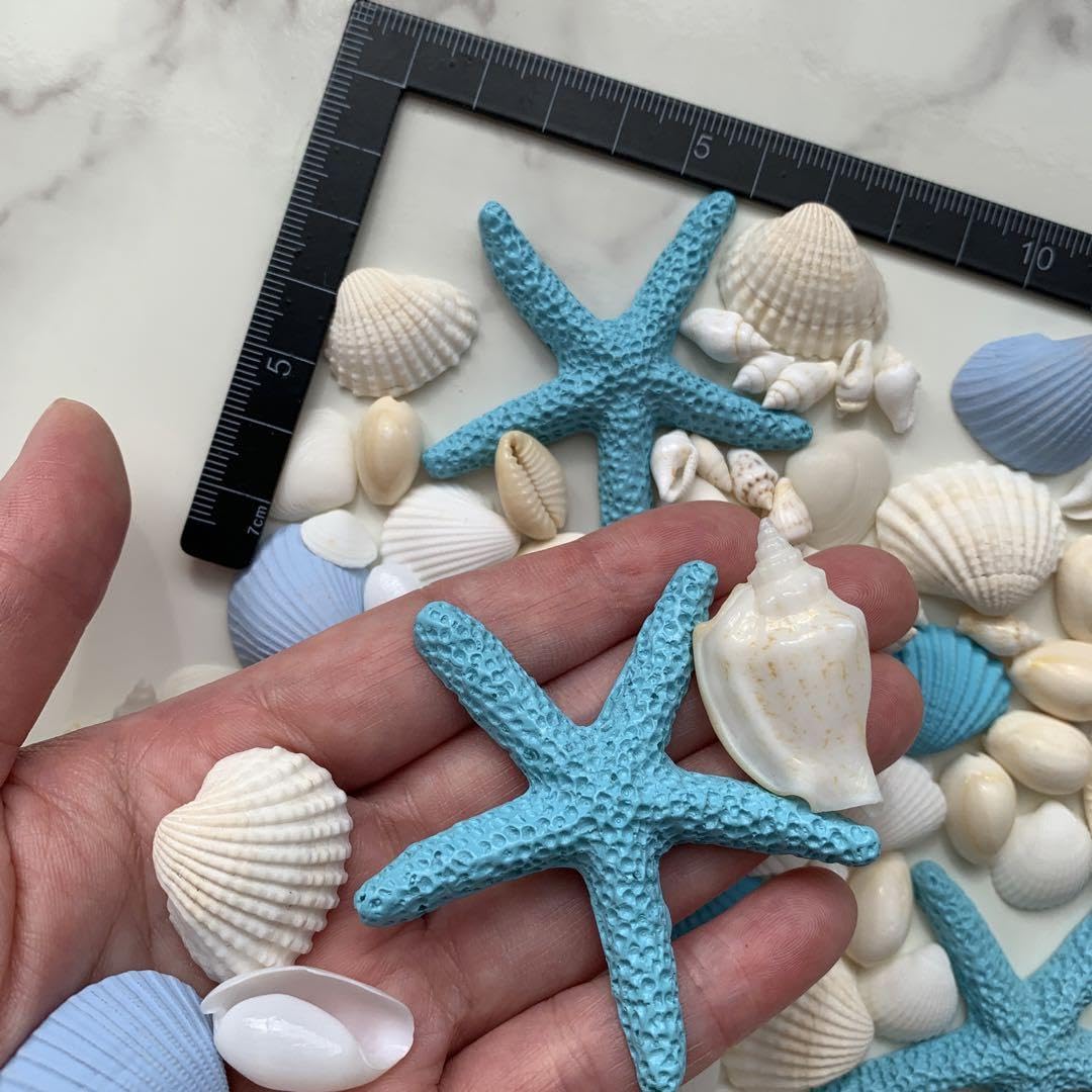 Amazon.co.jp: 貝殻 貝殻セット インテリア ハワイ ブルー 青