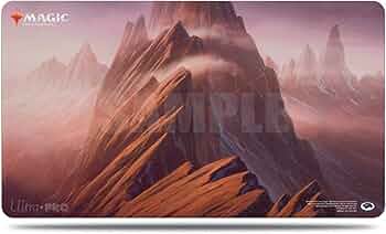 71i+jHDB9UL._AC_UF350,