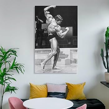 Amazon.co.jp: Arnold Schwarzeneggerアーノルド・シュワルツェネッ