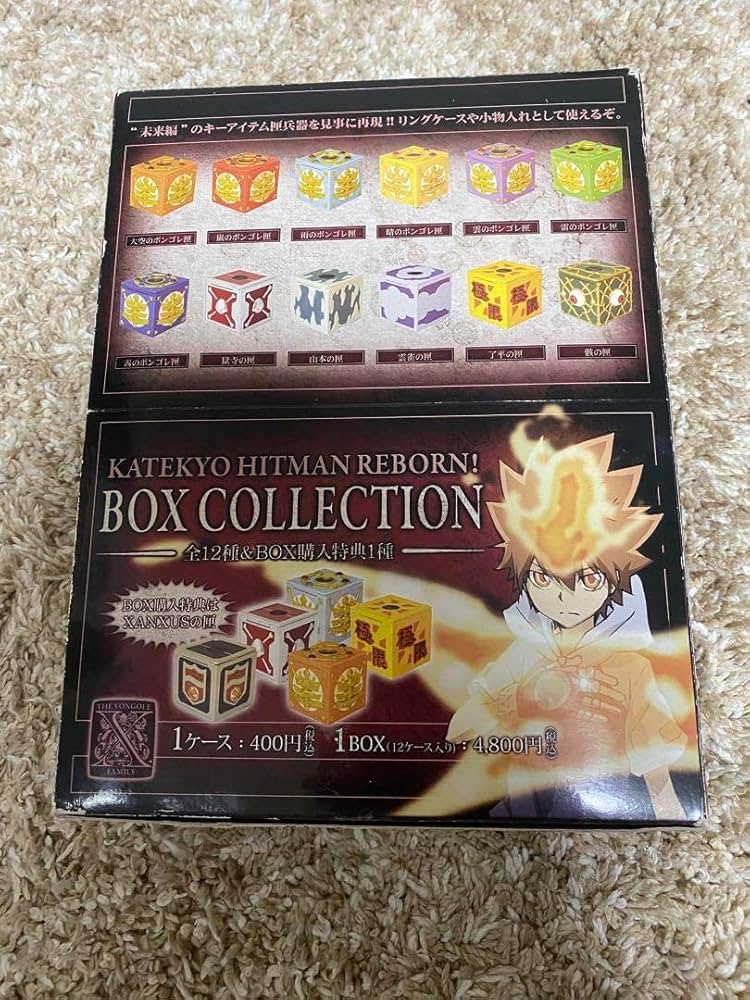 Amazon.co.jp: 家庭教師ヒットマンREBORN︎ 匣コレクション : ホビー