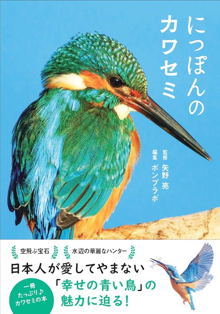 にっぽんのカワセミ | 矢野亮 |本 | 通販 | Amazon