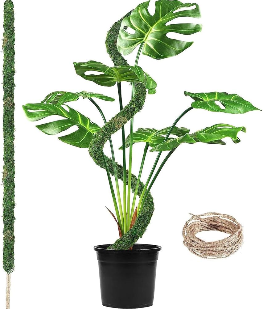 Amazon | モンステラ支柱 曲げ可能なコケ棒 着生植物 蔓性の観葉植物