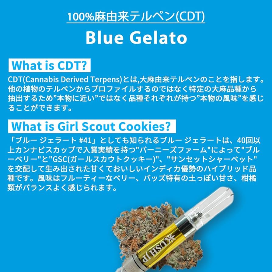 Amazon | 【KUSH JP】 CBNリキッド 高濃度 CBN -PRO- 【改正基準適合