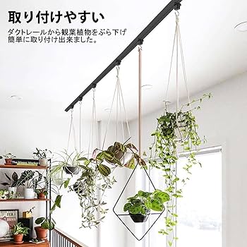 Amazon.co.jp: Pispoer ダクトレール用吊りフック 照明器具配線