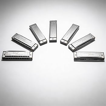 Amazon.com: Fender Blues Deluxe Harmonica Pack of 7 Bundle with