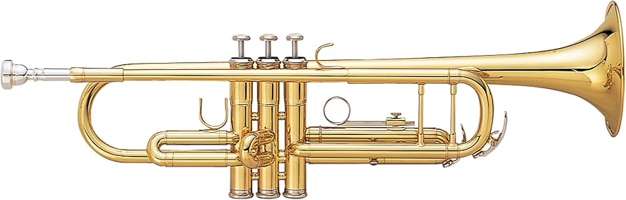 Amazon.co.jp: MAXTONE トランペット B♭管 ゴールドラッカー 仕上げ