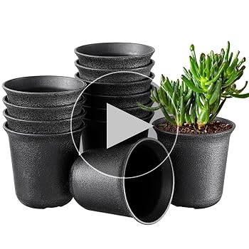 Amazon.co.jp: VANZACK プラ鉢 小 ミ二植木鉢 多肉植物 鉢