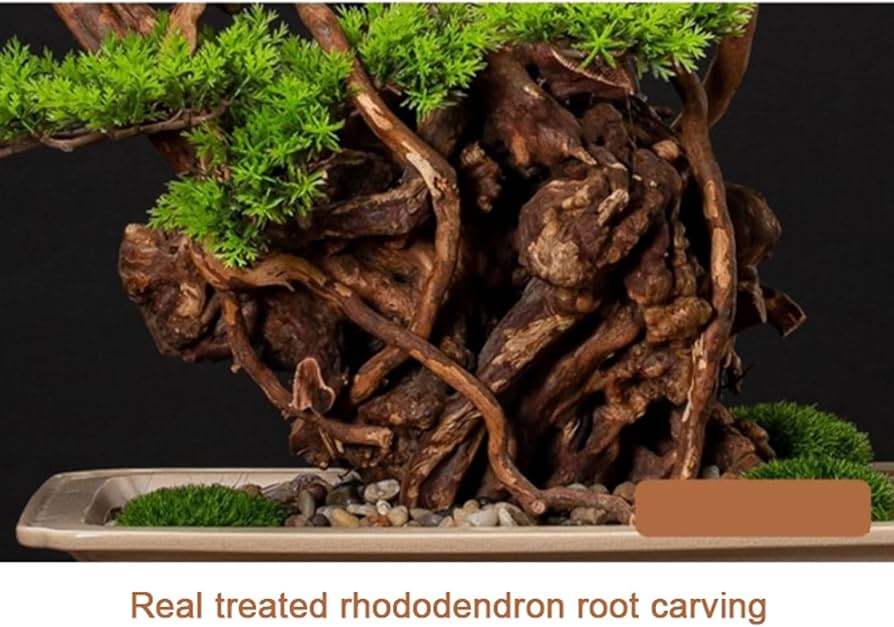 71jQLS8e4ML._AC_UF894,