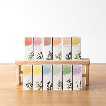 Amazon.co.jp: 生活の木 エッセンシャルオイル 5ml 12本セット アロマ