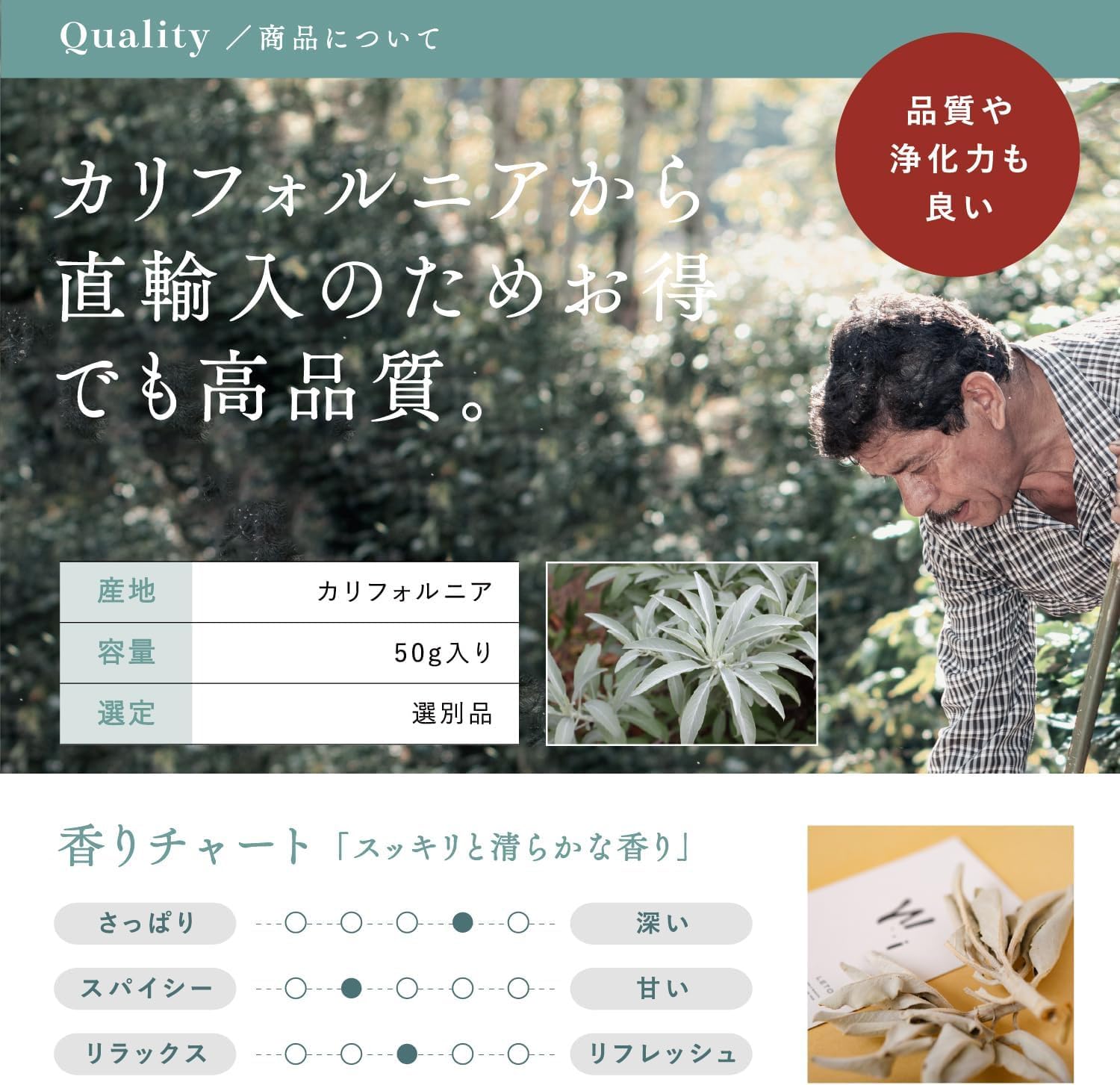 Amazon.co.jp: [LETO] ホワイトセージ 枝付き クラスター 無農薬