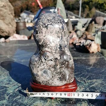 Amazon.co.jp: 石川県 白山紋石 1.6キロ 鑑賞石 石 置物 オブジェ