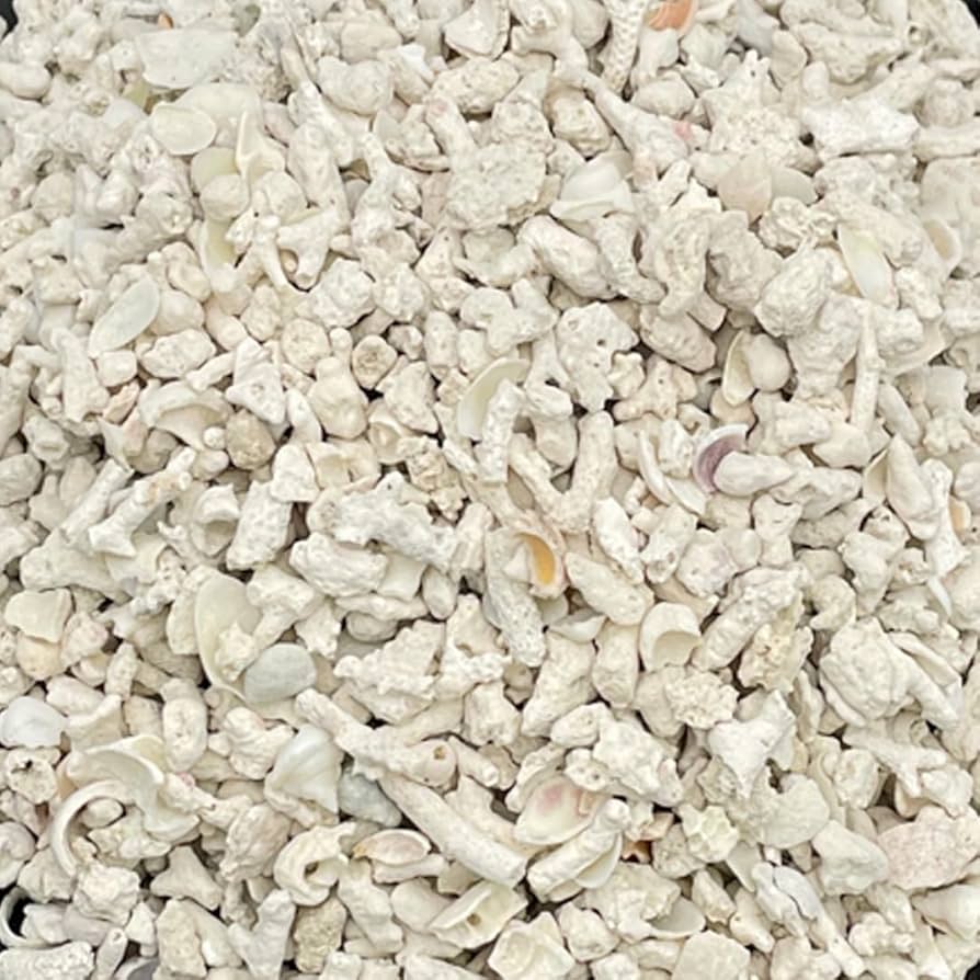 Amazon | パラオ産 サンゴ砂 パラワンサンド 【Mサイズ 100g