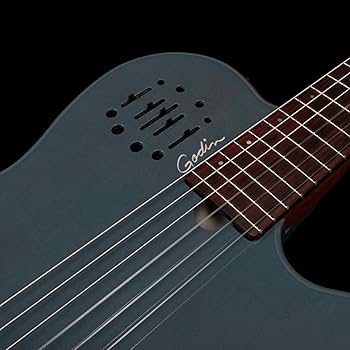 Amazon | Godin (ゴダン) エレガットギター ナイロンギター Multiac