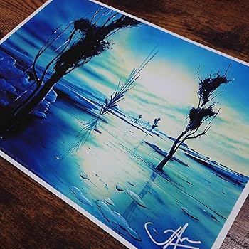 Amazon.co.jp: MTG《アダーカー荒原/Adarkar Wastes》John Avon サイン