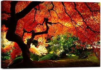 71kRFLJVNTL._AC_UF350,