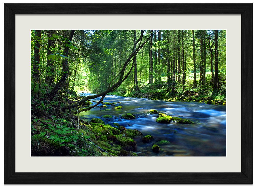 Amazon.co.jp: 美しい緑の森、滝、川、山 (059) 自然風景 壁掛け黒色