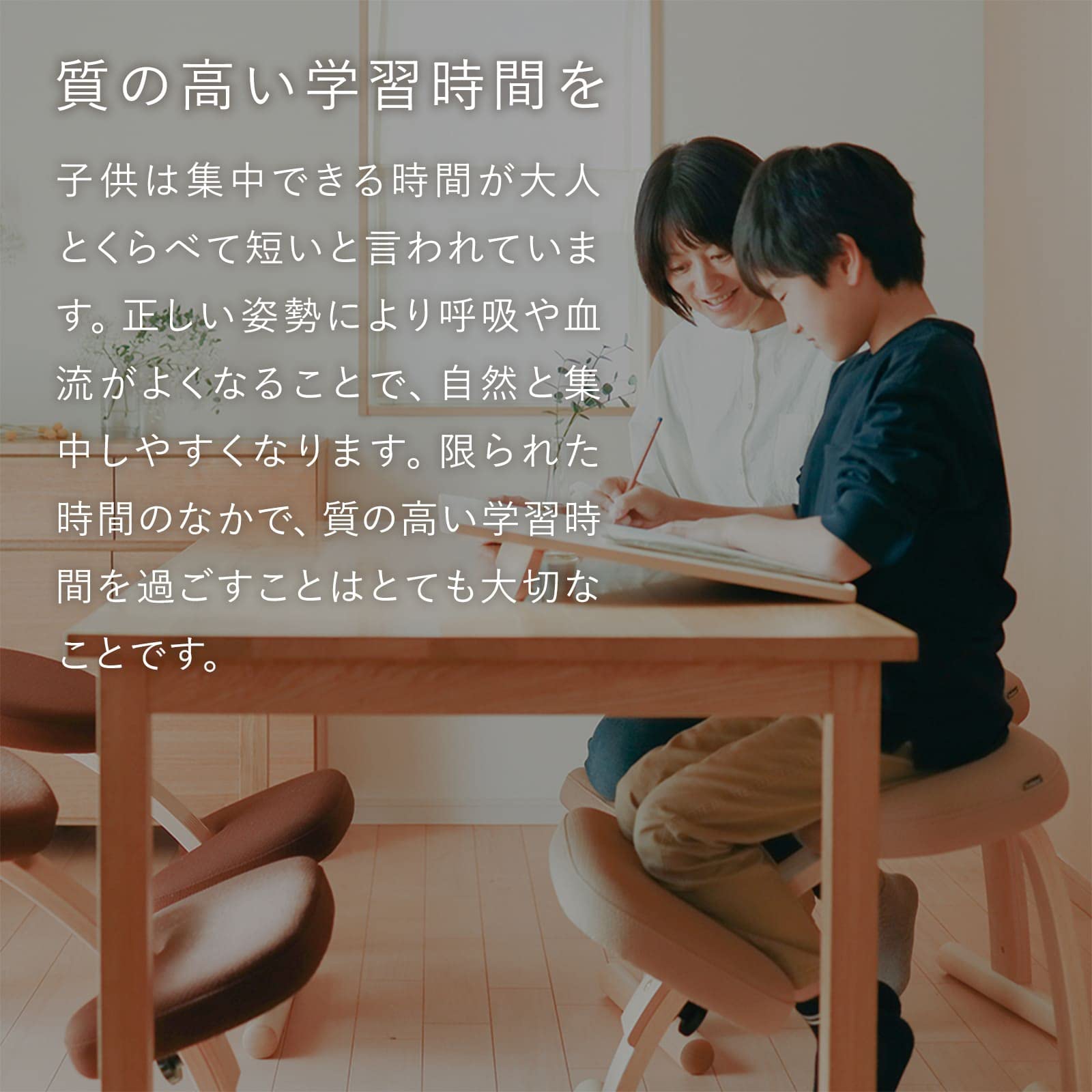 Amazon.co.jp: Balance Chair Easy Navy Balance Lab (Formerly