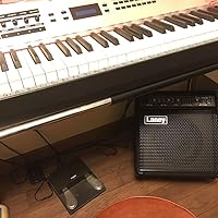 Amazon.co.jp: Laney (レイニー) キーボードアンプ 3チャンネル 5