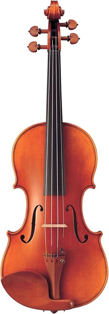 Amazon.co.jp: ヤマハ YAMAHA Braviol ブラビオール バイオリン V20G