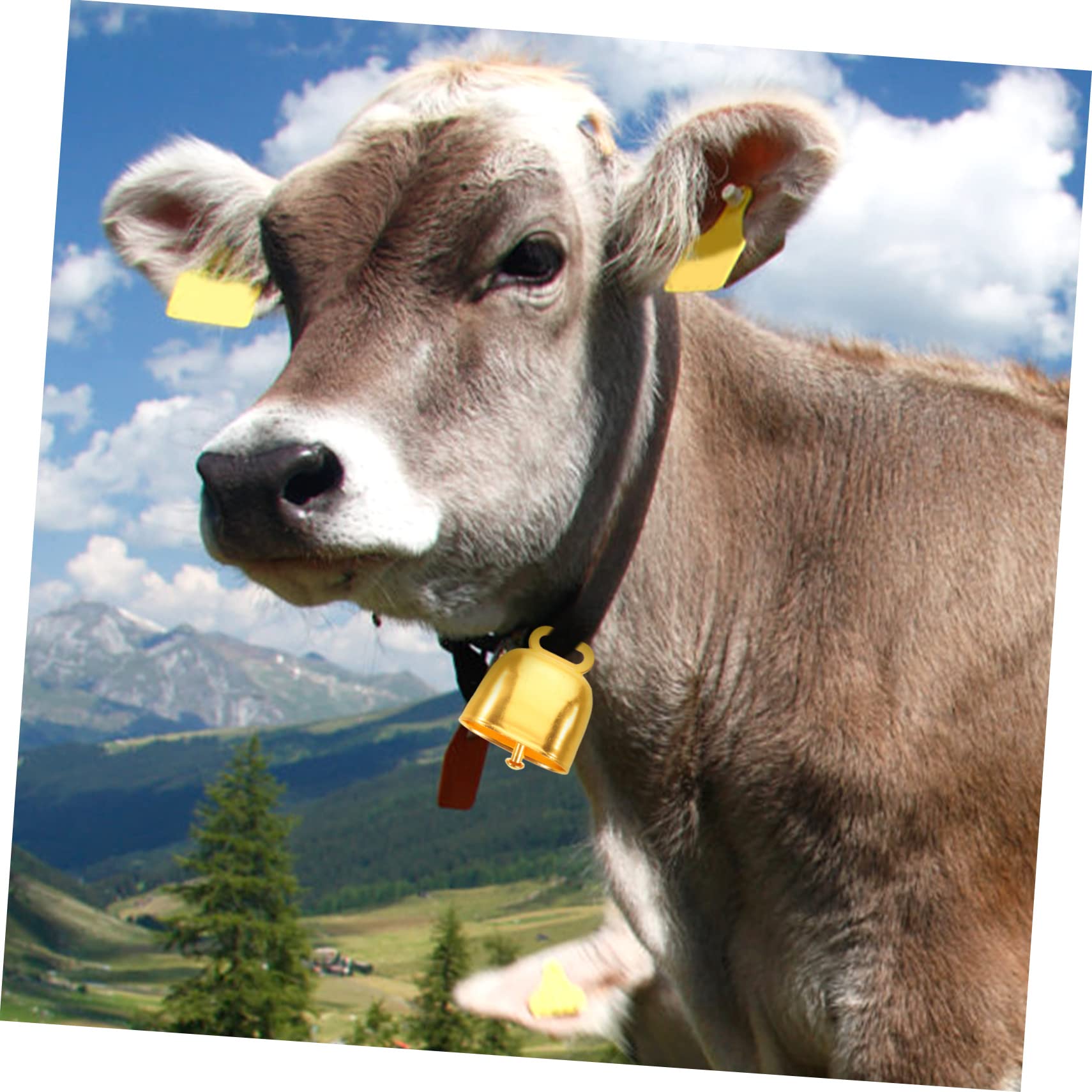 Amazon.co.jp: Toddmomy 10個属製牛鈴 ヴィンテージスル 大音量 ペット