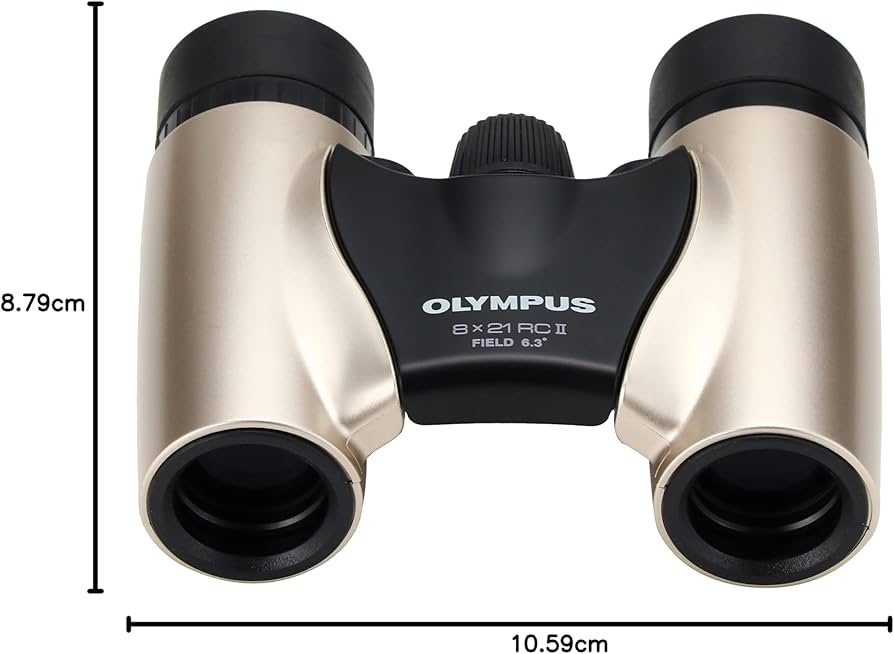 71lTZFTLRIL._AC_UF894,