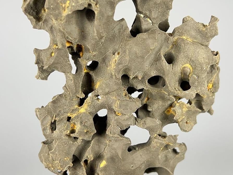 Amazon.co.jp: 鎖雲 中国美術 太湖石 玲瓏石 天然石 奇石 水石 鑑賞石