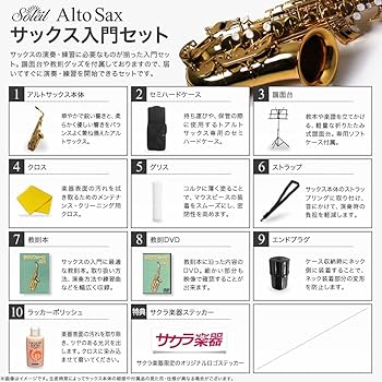 Amazon | アルトサックス 初心者入門セット (9707084220) | サックス
