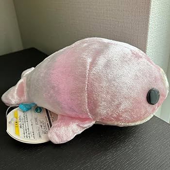 Amazon.co.jp: タグ サンエックス まめゴマシャイニーぬいぐるみ