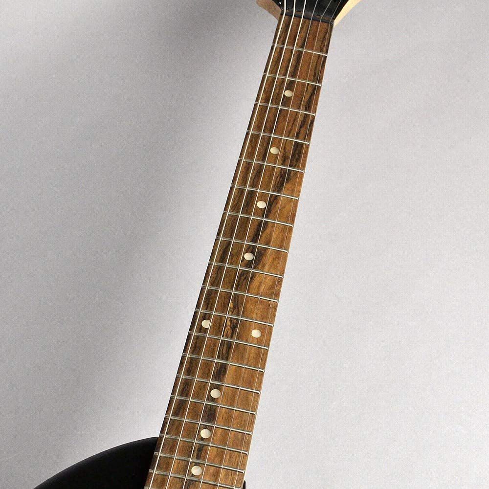 Amazon | FERNANDES フェルナンデス エレキギター ZO-3 '19 BLK W/SC