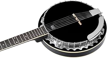 Amazon.com: Raven Series 6-String Banjo w/Bag : Musical Instruments