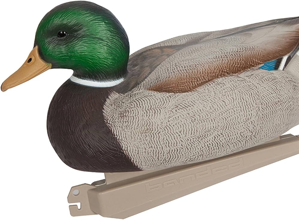 Amazon | Tachiuwa 狩猟 釣り 釣りデコイ ダックモデル アヒル模型