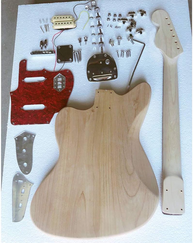 Amazon | MUSOO DIY エレキ ギター キット 全て 部品 付 ナチュラル