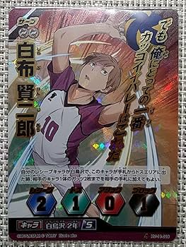 Amazon.co.jp: ハイキュー バボカ 白鳥沢 白布 サインカード 頂 他 9枚