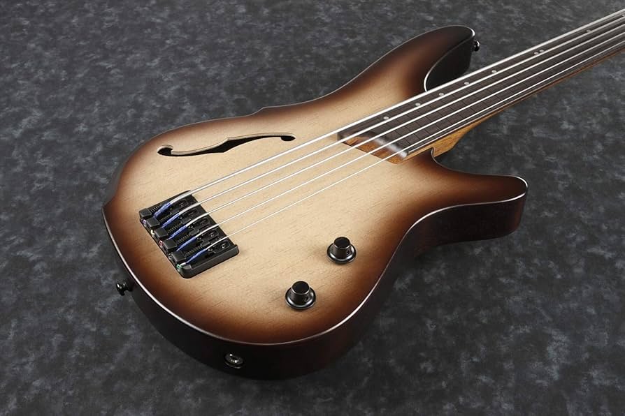 Amazon.com: Ibanez SRH505F Fretless - Natural Browned Burst Flat
