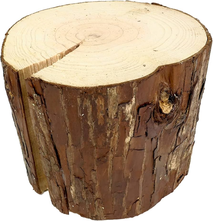 Amazon.co.jp: 天然木の台座 ディスプレイスタンド スギの木 切り株 約