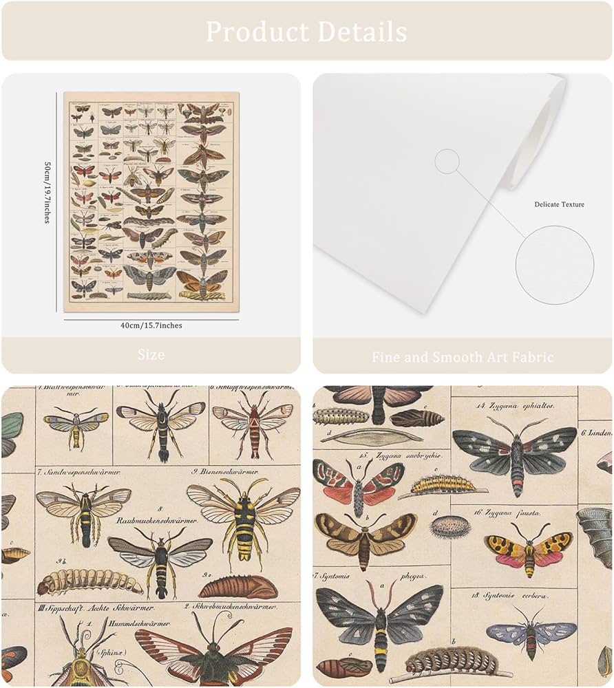 Amazon.co.jp: Meishe アートポスター プリント ヴィンテージ 蛾 昆虫