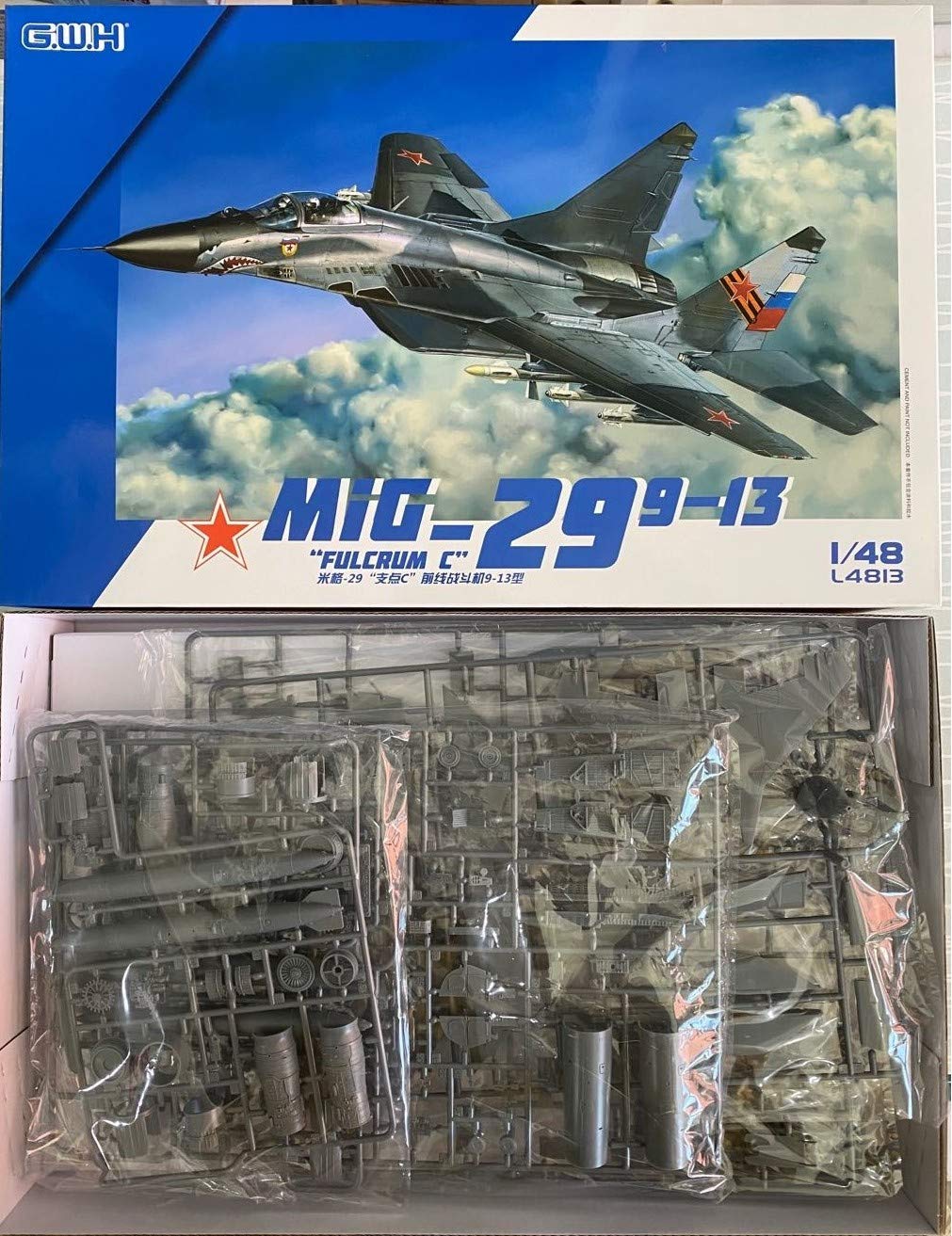 Amazon.com: Great Wall Hobby Sprue Brothers 1:48 MiG-29 Fulcrum C