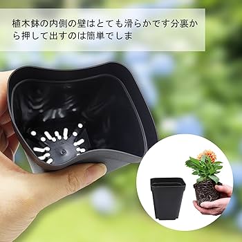 Amazon.co.jp: RooTrimmer 育苗ポット 40個セット 多肉植物用 スリット