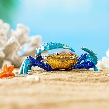 71ncfoS4E-L._AC_UF350,