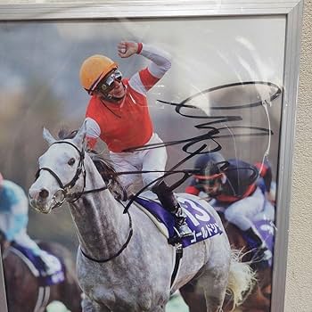 Amazon.co.jp: 最終お 競馬ゴールドシップ・内田博幸サイン : 文房具