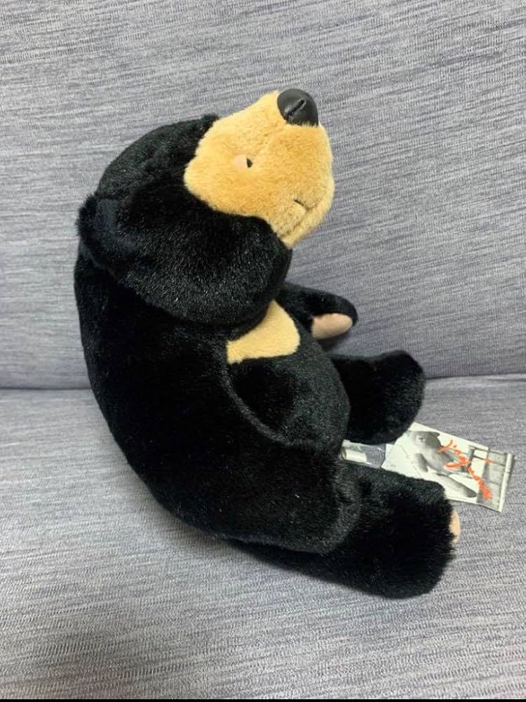 71nwW4C2e1L._AC_UF894,