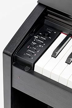Amazon.com: Casio Privia PX-870 Digital Piano - Black Bundle with
